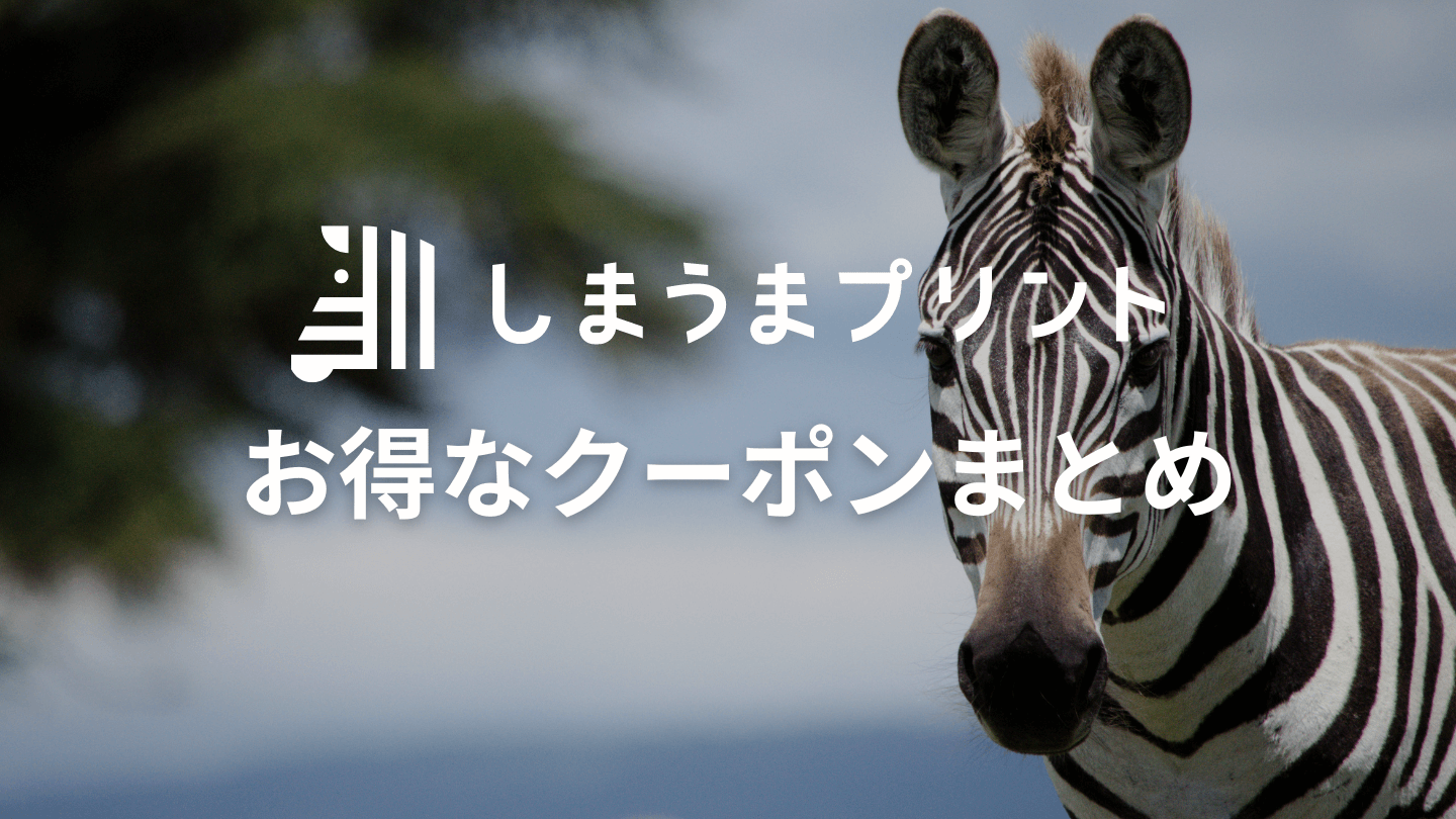 しまうまプリントのフォトブッククーポンまとめ！初回限定クーポンも紹介